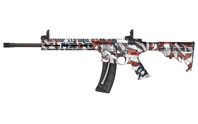 Smith and Wesson M&P15-22 Sport 22 LR - Jimmy's Creek Firear view 2