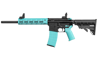 TIPPMANN ARMS M4-22 - Jimmy's Creek Firearms view 2