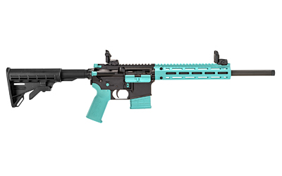 TIPPMANN ARMS M4-22 - Jimmy's Creek Firearms view 2