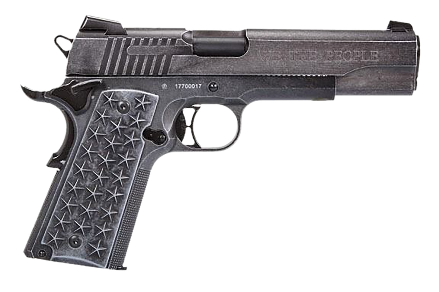 Sig Sauer Airguns 1911 We The People - Jimmy's Creek Firearm view 2