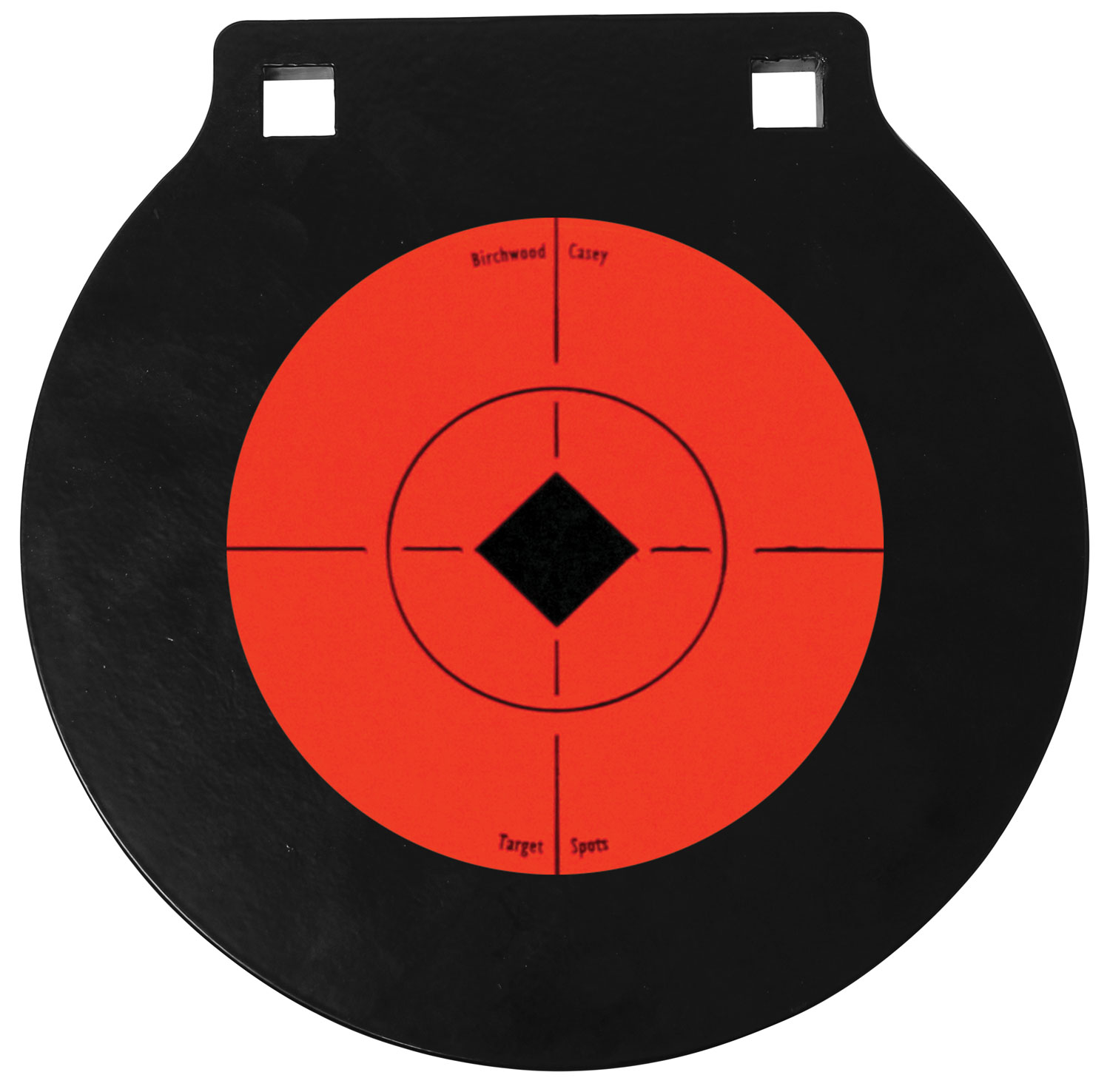 Birchwood Casey World of Targets - Purple Mountain Armory view 2