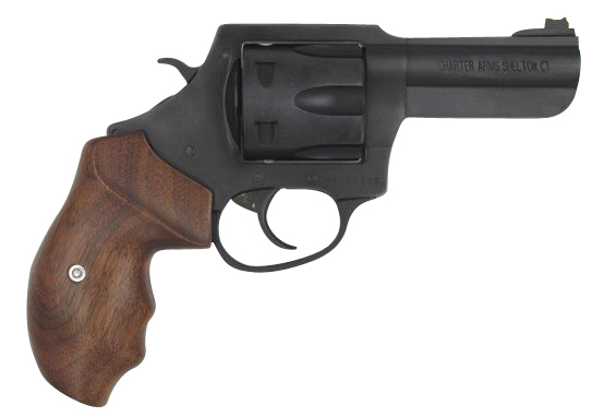 Charter Arms The PROFESSIONAL III 357 Magnum - Jimmy's Creek view 2