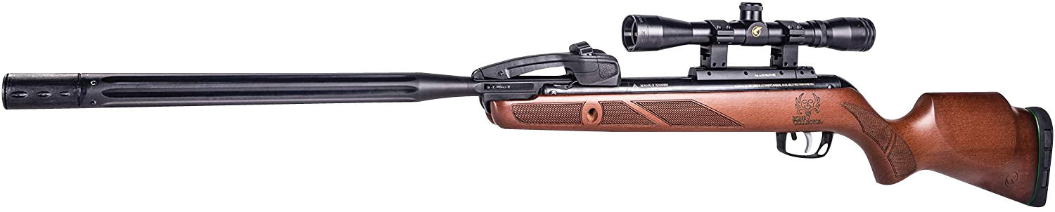 Gamo Usa Corp. - 2A in MD view 2