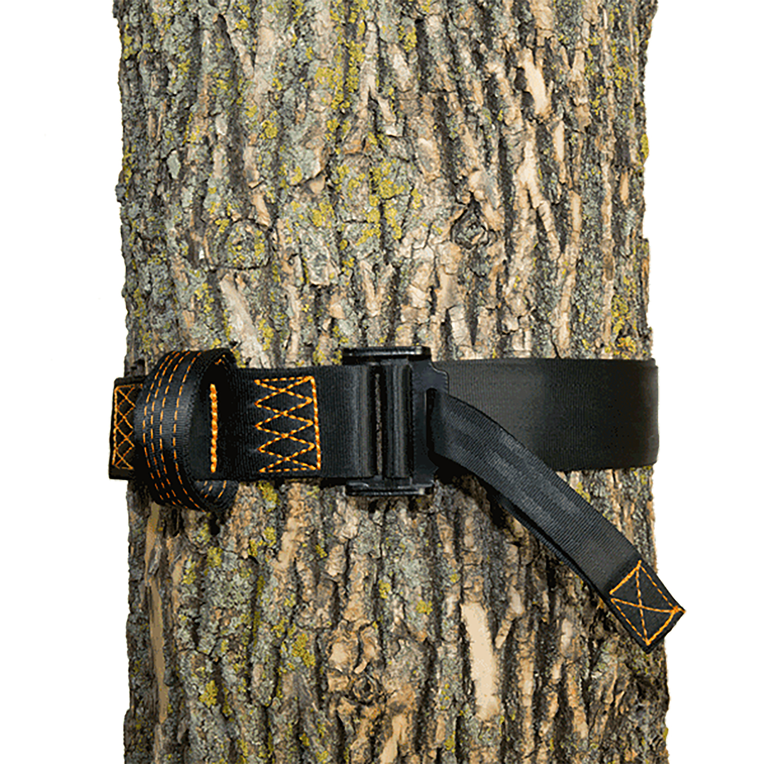 Muddy - Purple Mountain Armory view 2