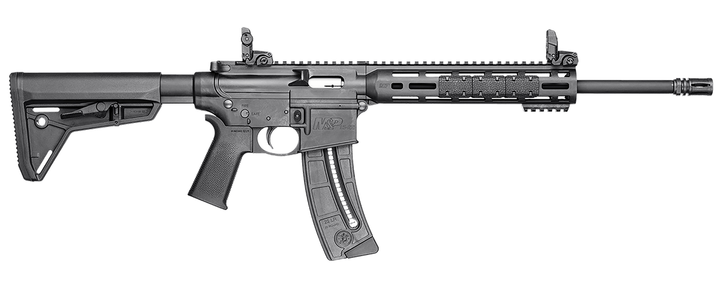 Smith and Wesson M&P15-22 Sport MOE SL 22 LR - Jimmy's Creek view 5