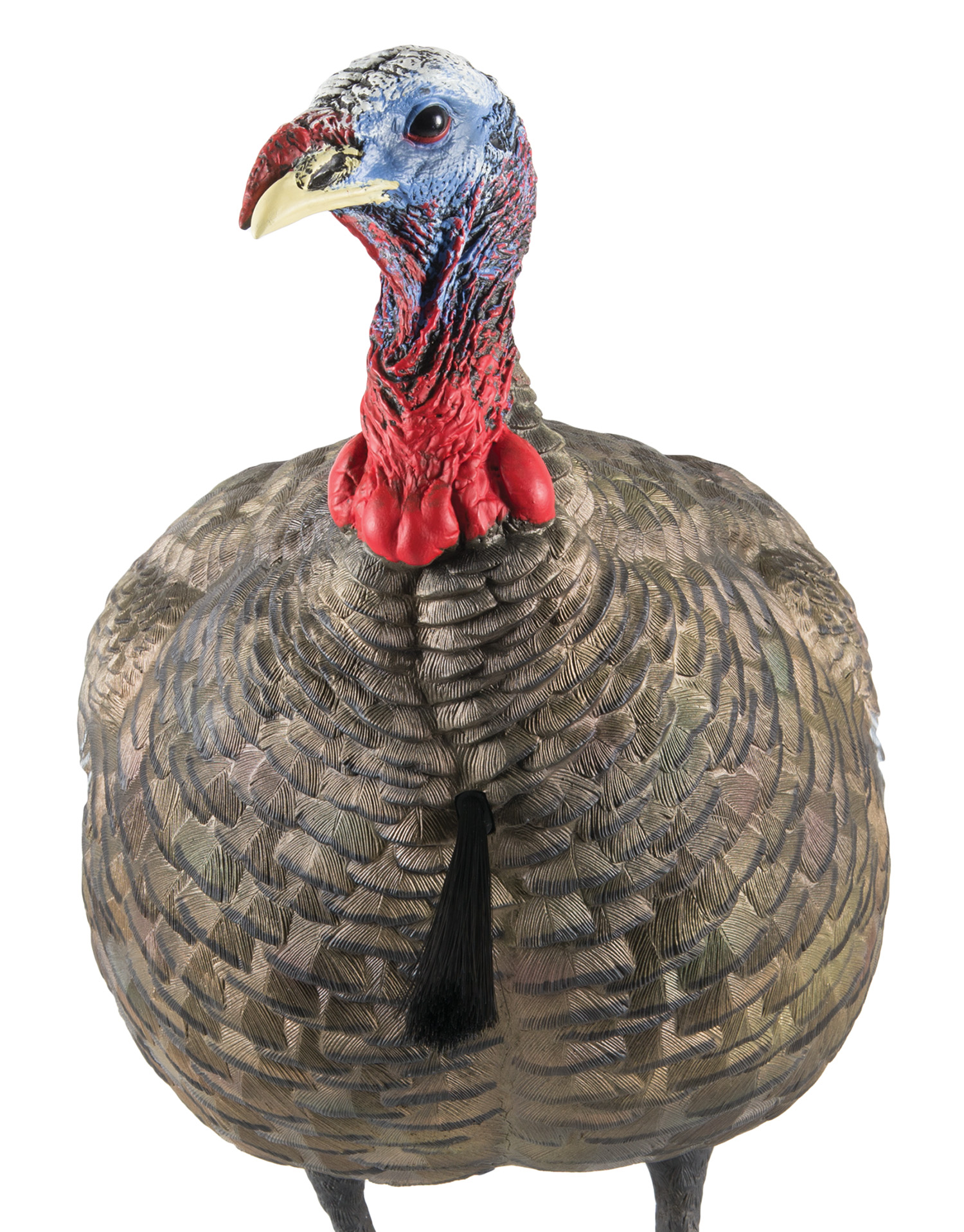 AVIAN X (GSM) LCD - Jimmy's Creek Firearms view 2