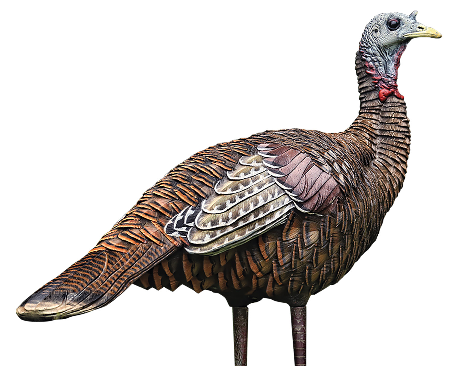 AVIAN X (GSM) LCD - Jimmy's Creek Firearms view 2