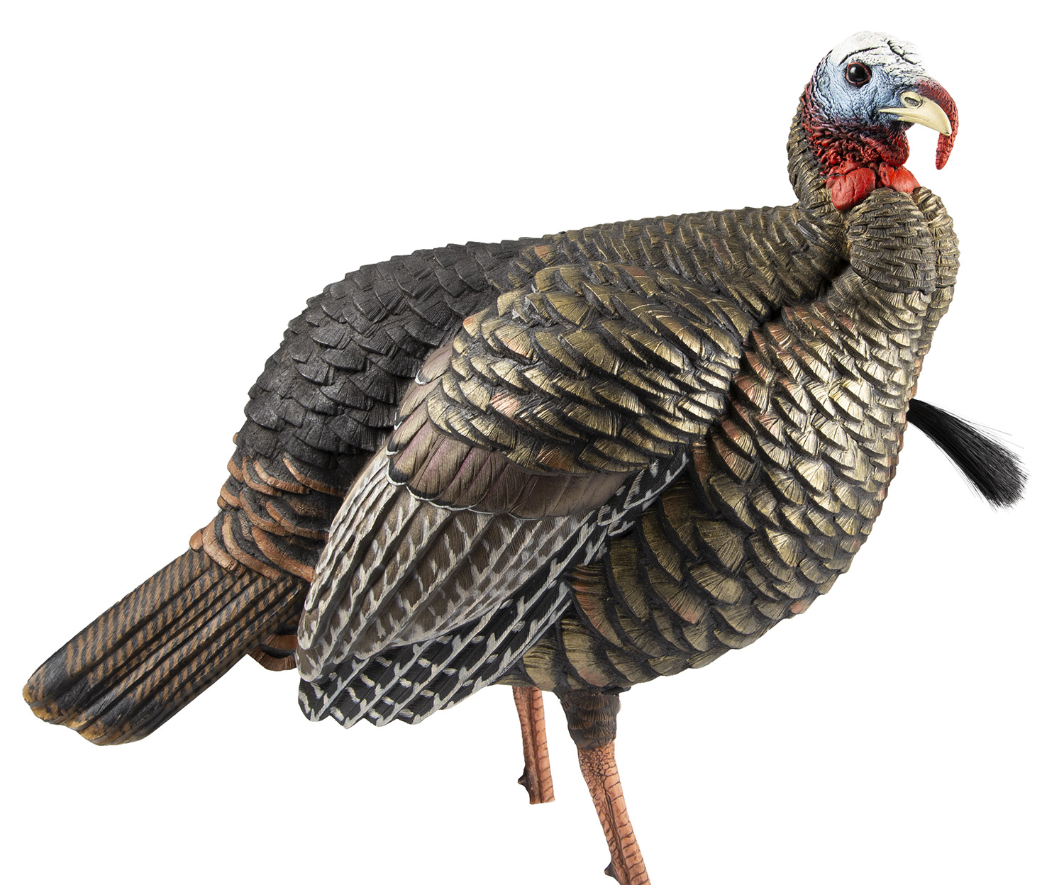 AVIAN X (GSM) HDR - Jimmy's Creek Firearms view 2