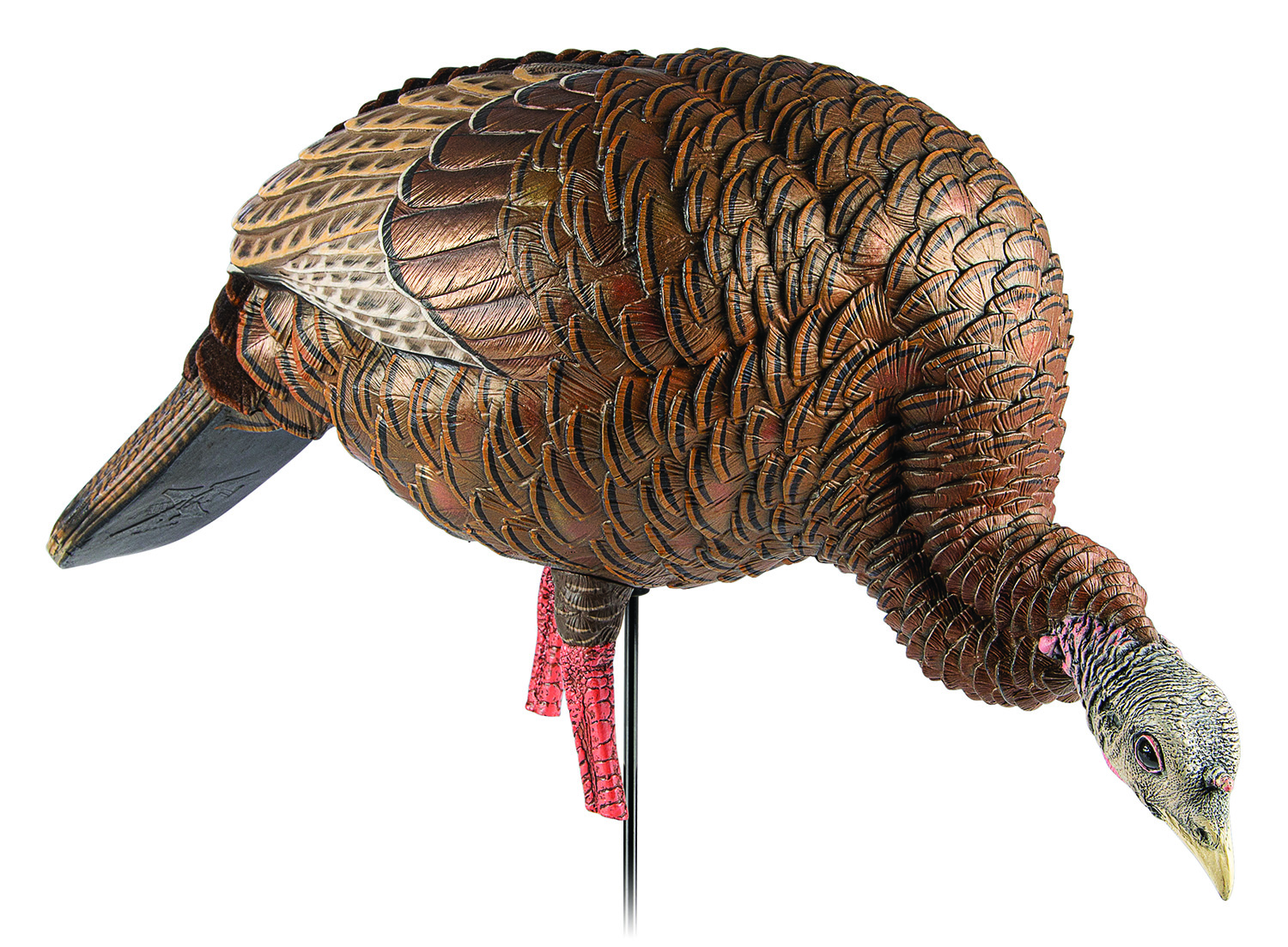 Avian X AVXAVX8107 HDR Feeder Hen Turkey Species Multi-Color