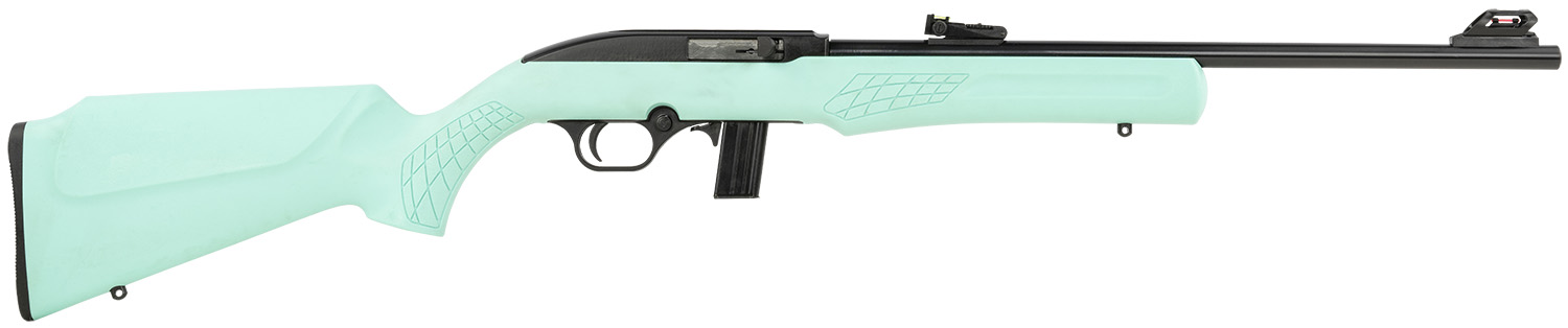 Rossi RS22 22 LR - Jimmy's Creek Firearms view 2