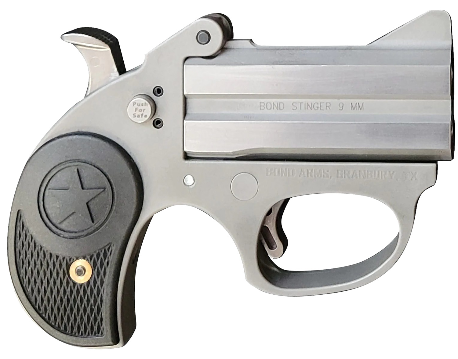 Bond Arms Stinger Rough Stainless 22 LR - Jimmy's Creek Fire view 3