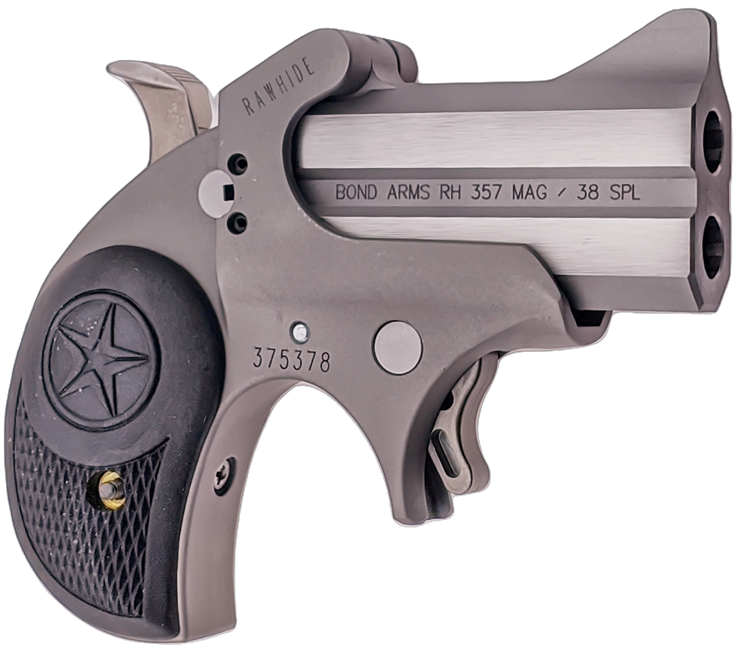 Bond Arms Rawhide 357 Magnum | 38 Special - Purple Mountain view 2