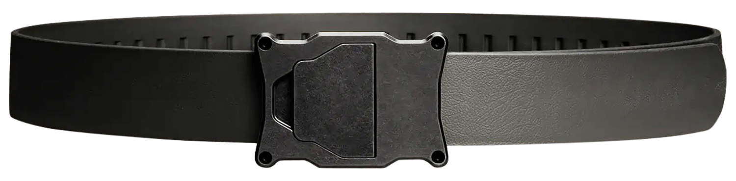 Shield Arms - 2A in MD view 3