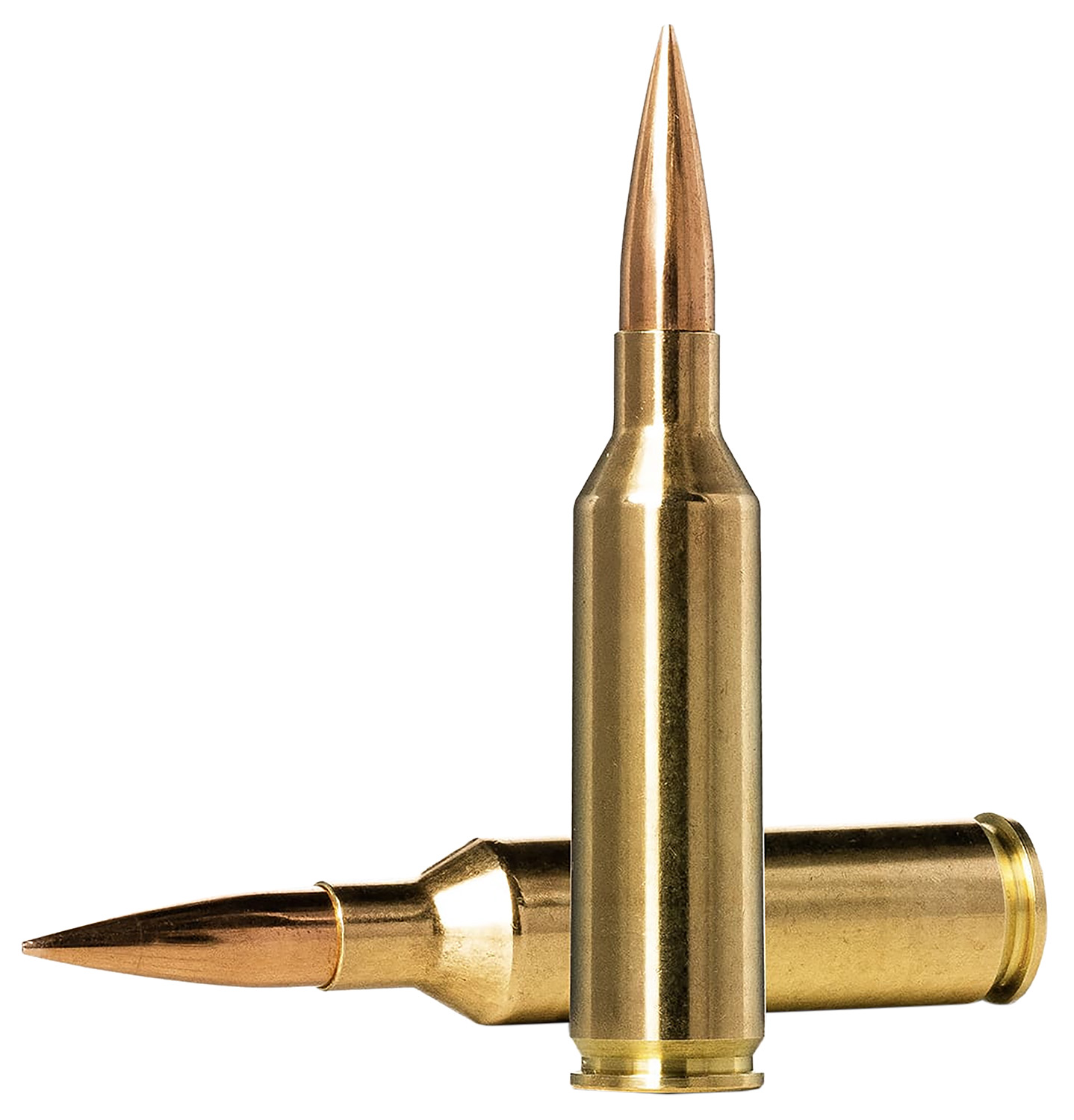 Norma Ammunition 6.5 PRC - 2A in MD view 2