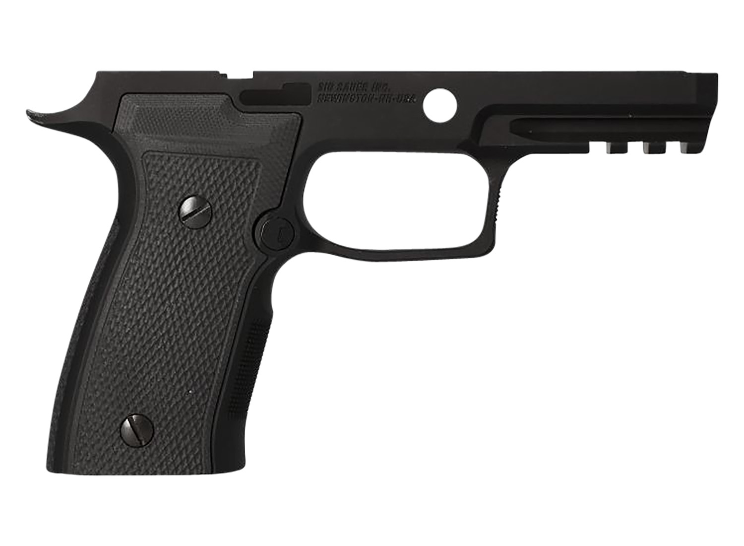 SIG SAUER 320 AXG Carry Med. Grip Mod - Purple Mountain Armo view 2