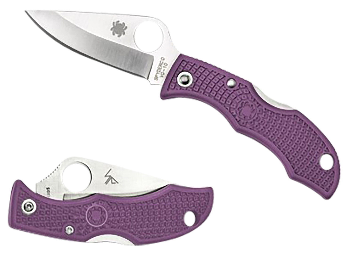 Spyderco Ladybug 3 - Jimmy's Creek Firearms view 3