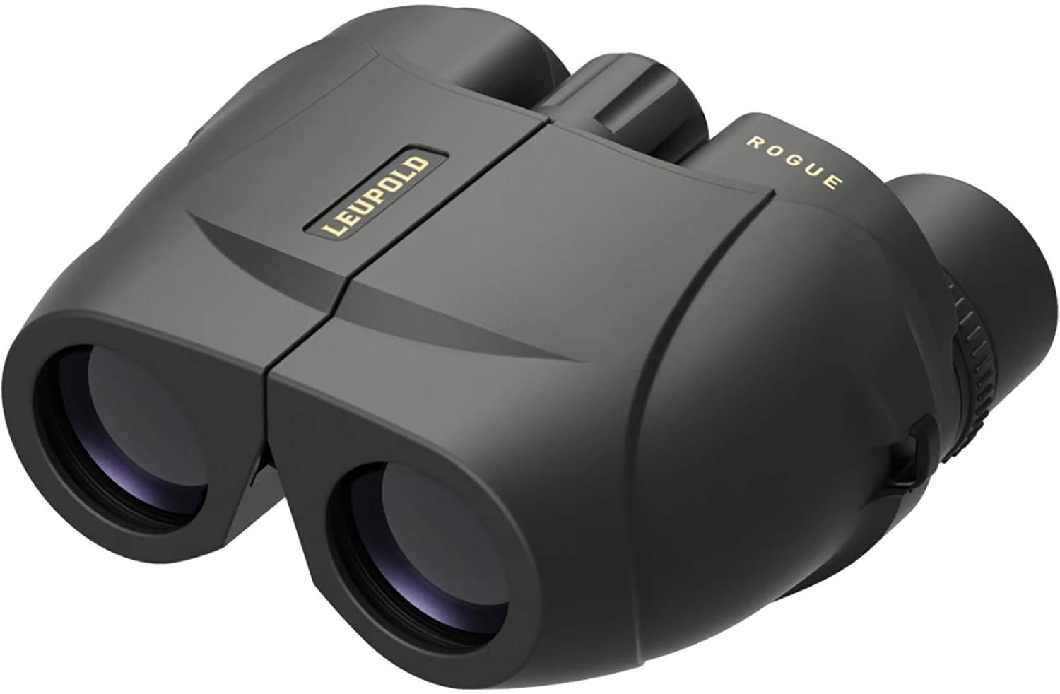 Leupold BX-1 Rogue - Purple Mountain Armory view 4