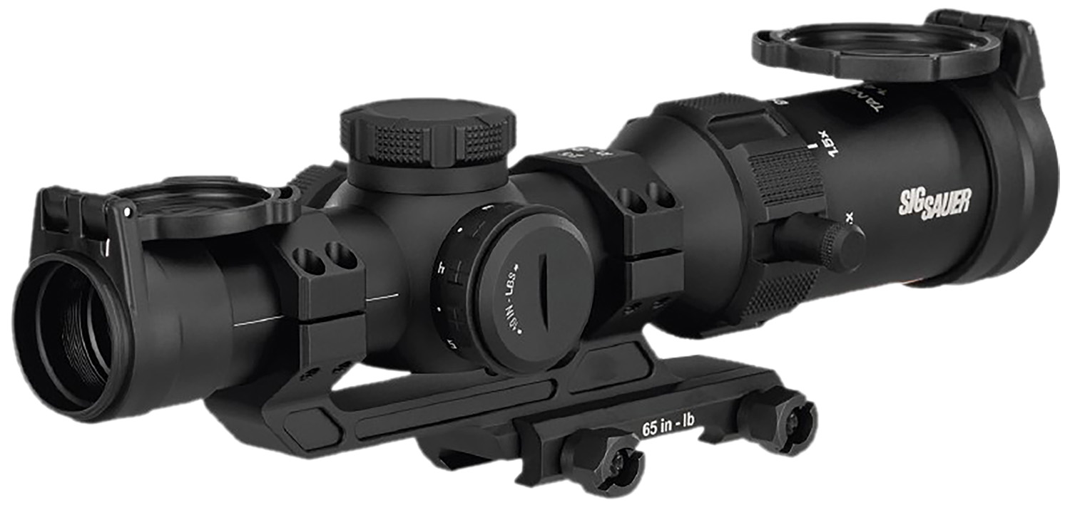 Sig Sauer TANGO SPR - Purple Mountain Armory view 5