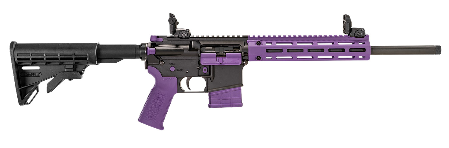 TIPPMANN ARMS M4-22 - Jimmy's Creek Firearms view 4