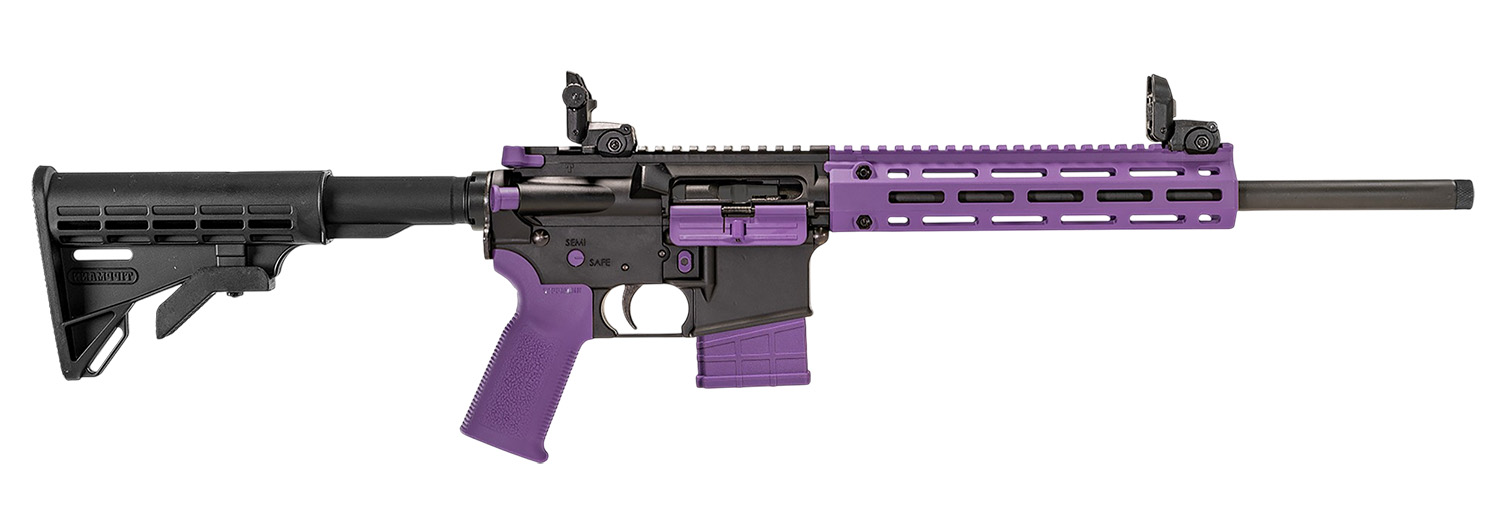 TIPPMANN ARMS M4-22 - Jimmy's Creek Firearms view 2