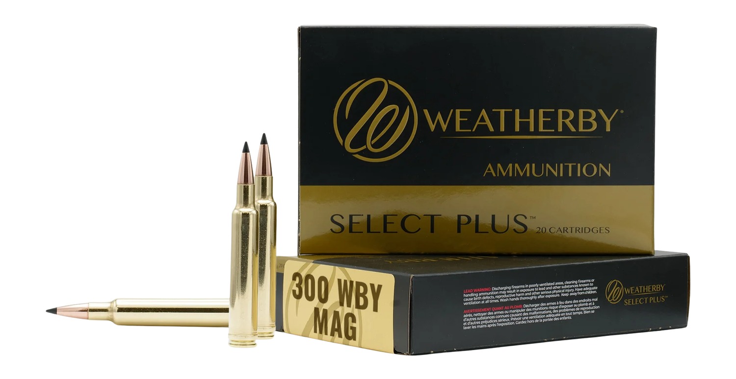 WTHBY M300195HCB 300 WBY 195GR HAMMER 20/10