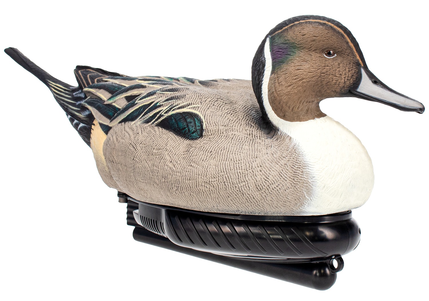 AVIAN AVX-PSW-PNSW POWER SWIMMER PINTAIL DRAKE