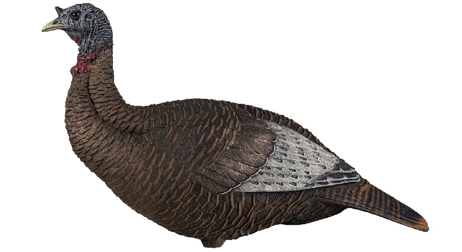 AVIAN X (GSM) - Jimmy's Creek Firearms view 2