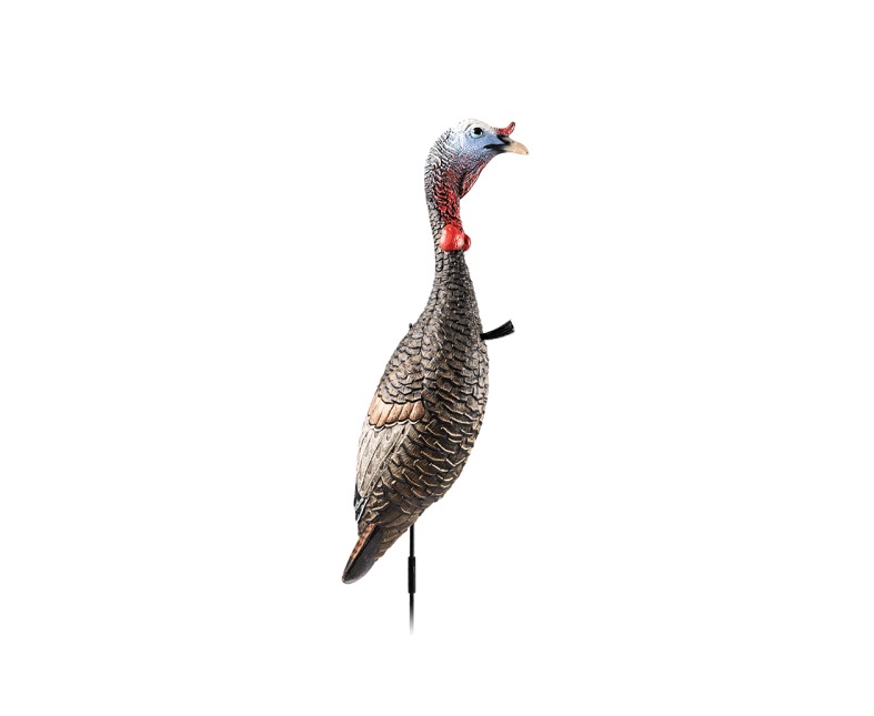 FLEXTONE FLX-FLXDY330 FUNKY CHICKEN GEN. 2