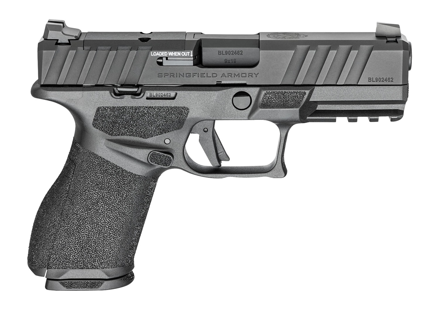 Springfield Armory Echelon Alpha 4.0C 9mm - Purple Mountain view 2