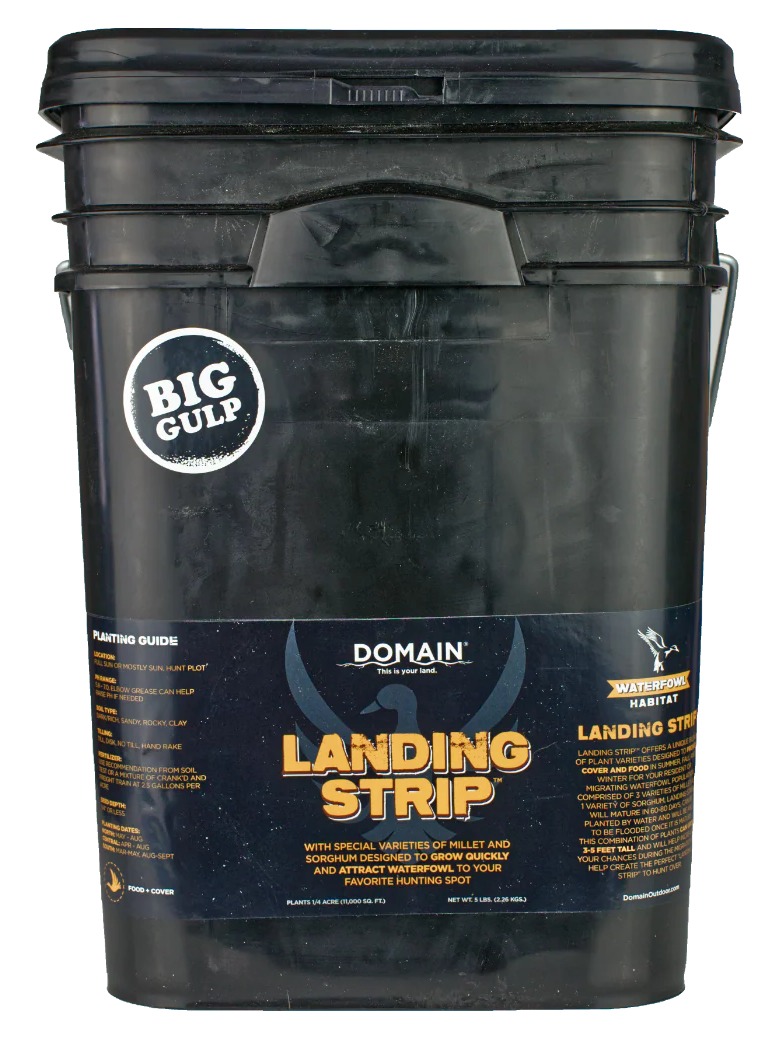 DOMAIN LSFP5 LANDING STRIP