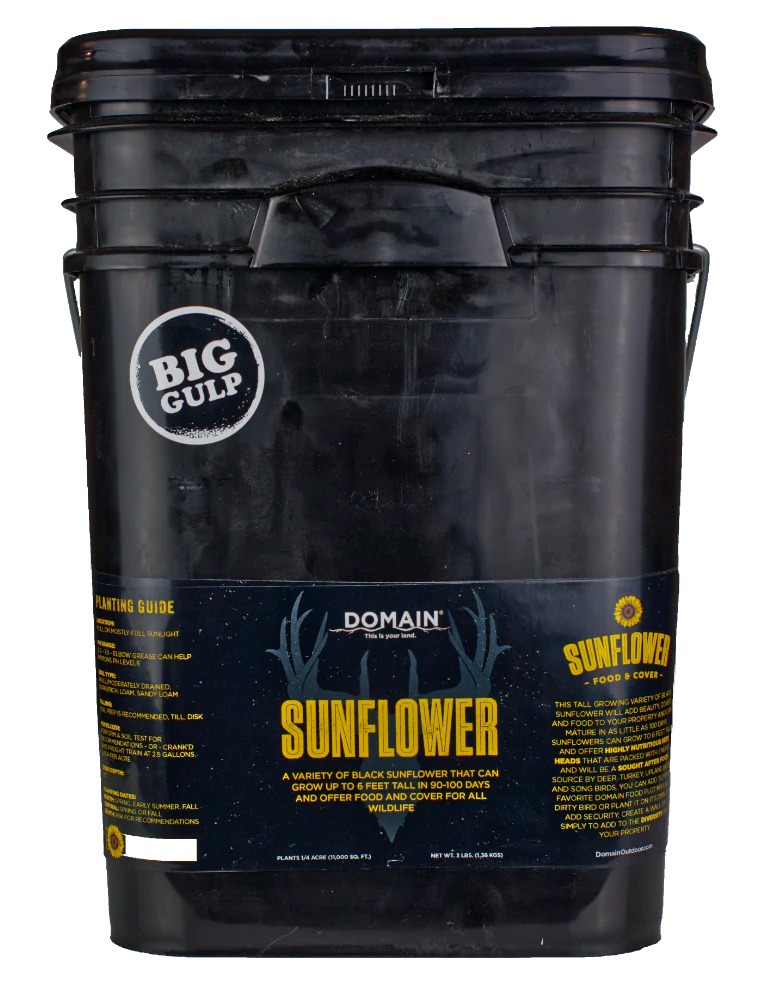 DOMAIN DSS3LB SUNFLOWER