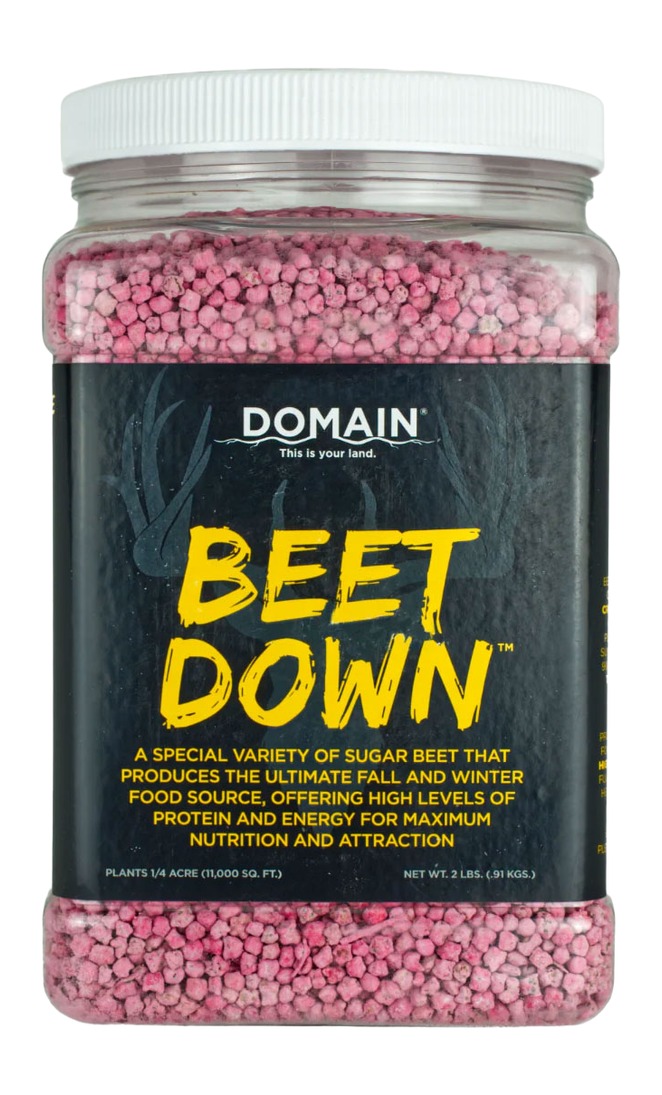 DOMAIN BDFP2 BEET DOWN