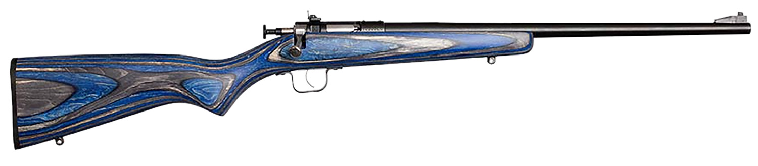Keystone Sporting Arms Crickett 22 LR - Jimmy's Creek Firear view 2