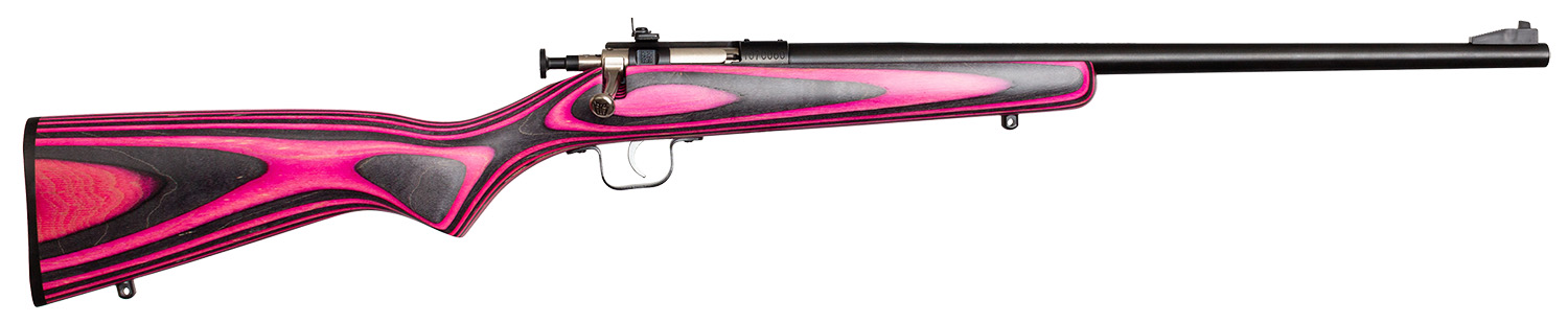 Keystone Sporting Arms Crickett 22 LONG RIFLE - Purple Mount view 2