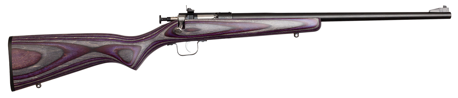 Keystone Sporting Arms Crickett 22 LR - Jimmy's Creek Firear view 2