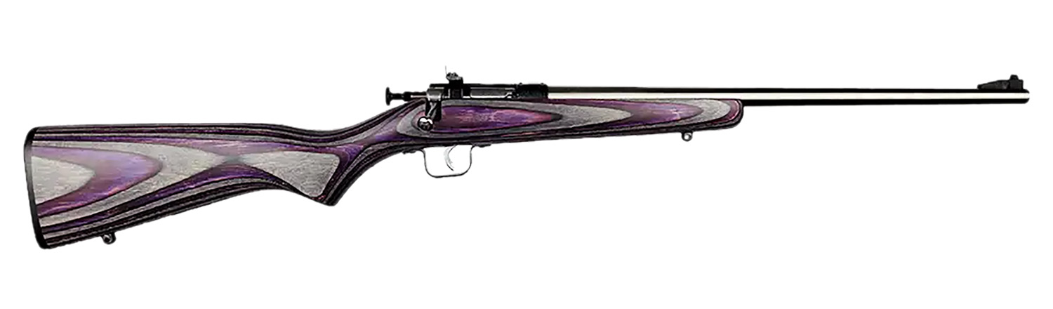 Keystone Sporting Arms Crickett 22 LR - 2A Gun Shop Llc view 2