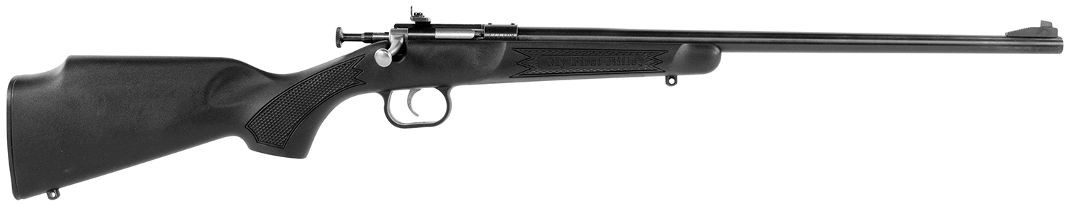 Keystone Sporting Arms Crickett 22 WIN MAG - Purple Mountain view 4