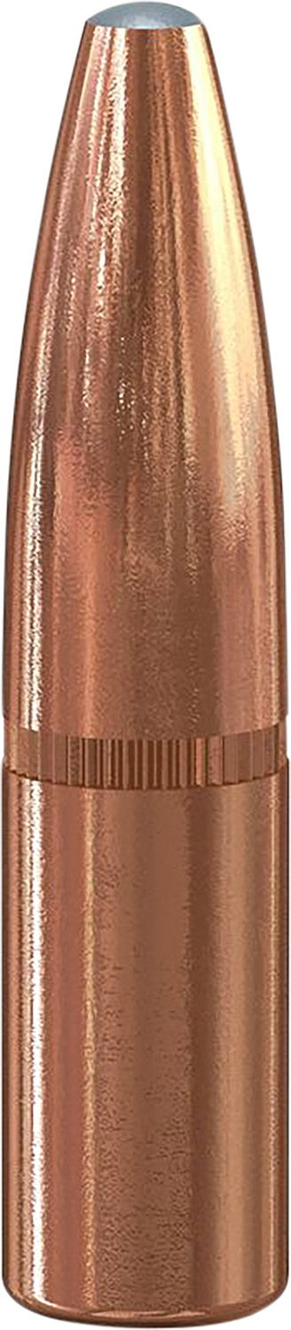 Speer - 2A in MD view 2
