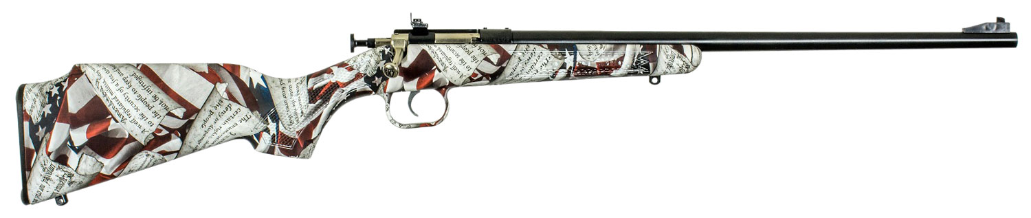 Keystone Sporting Arms Crickett 22 LR - Purple Mountain Armo view 2