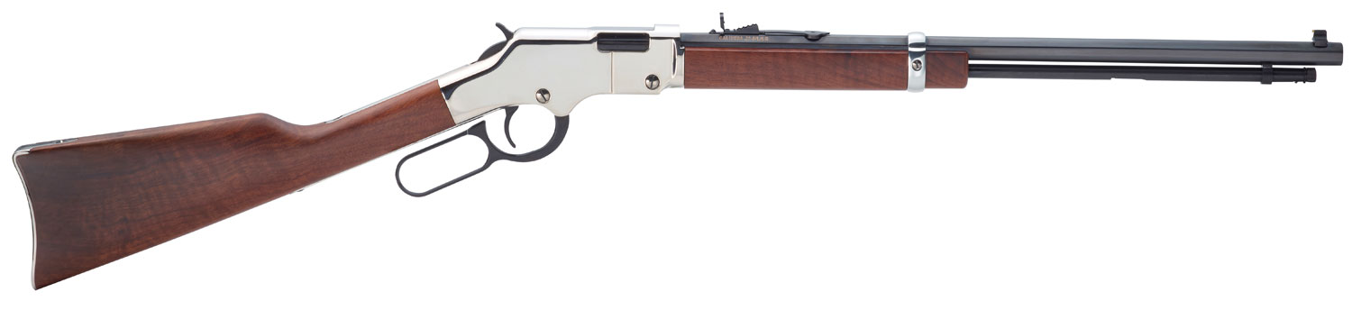 Henry 22 WMR - Purple Mountain Armory view 2