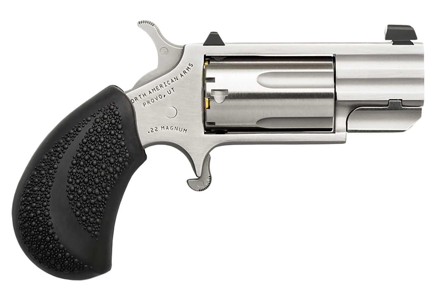 NAA Pug 22 WMR - 2A in MD view 2
