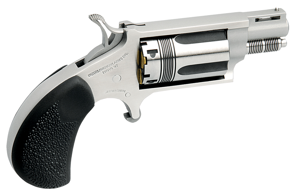 North American Arms The Wasp 22 Magnum - Purple Mountain Arm view 2