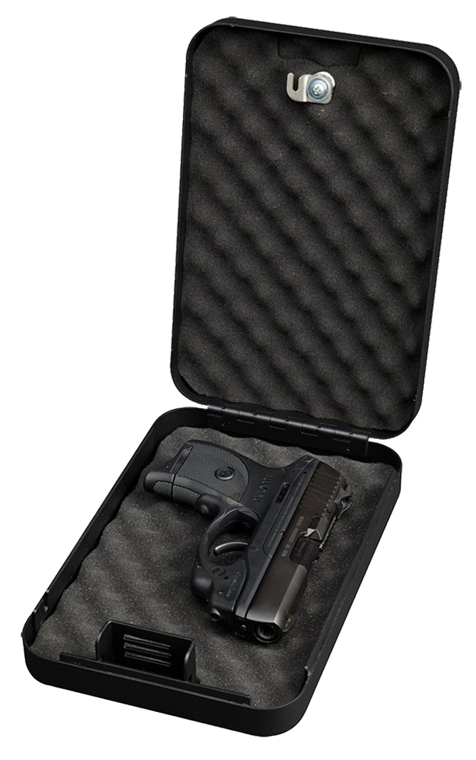 Bulldog Cases - 2A in MD view 2