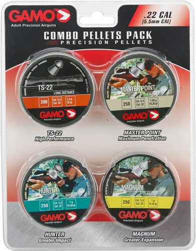 Gamo 22 CALIBER - Purple Mountain Armory view 2