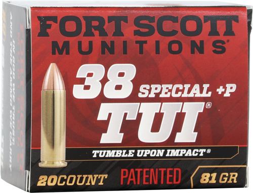 Fort Scott 38 SPECIAL - Purple Mountain Armory view 2