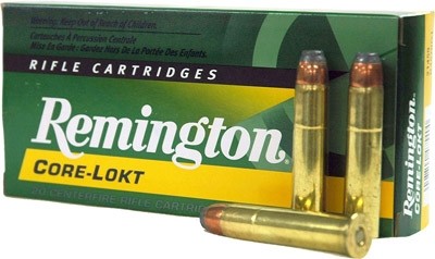 Remington 45-70 Govt - Purple Mountain Armory view 3
