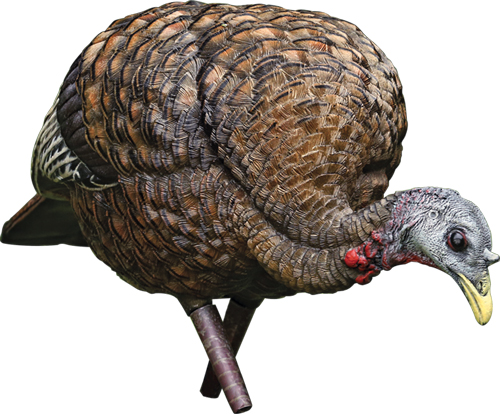 AVIAN - Purple Mountain Armory view 5