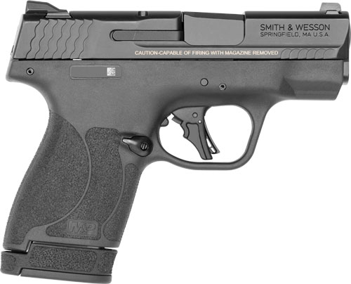 Smith and Wesson M&P9 Shield Plus 9mm - Purple Mountain Armo view 4