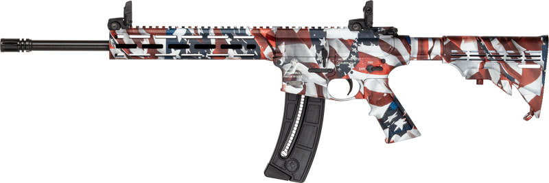 Smith and Wesson M&P15-22 Sport 22 LR - Purple Mountain Armo view 3