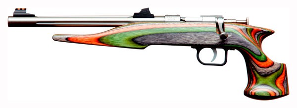 Chipmunk 41105 Hunter Adult 22 Mag 1rd 9" Threaded Stainless Steel Single Shot Barrel, Camo Laminate Stock